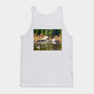 Red Rock Lake Fall Study 1 Tank Top